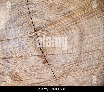 Close-up texture photography of wood. Cut tree trunk.Annual rings on a cut tree close-up.Wooden heart for decoration.Wood background.Wood front view. Stock Photo