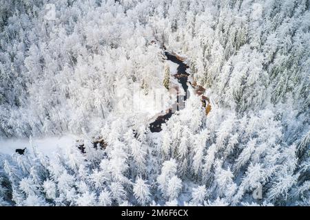Beautiful  winter forest and river Stock Photo