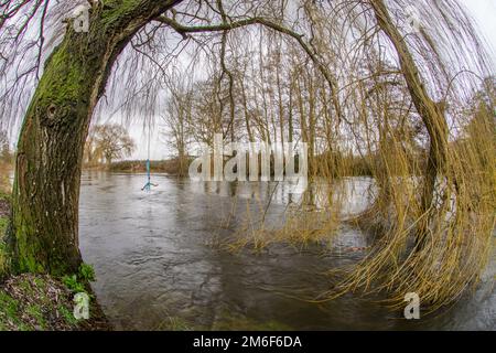 Rope swing hanging from a Weeping Willow (Salix babylonica) tree over the River Avon, Fordingbridge, Hampshire, UK Stock Photo