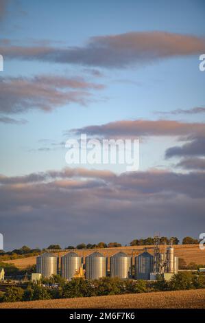 Grain storage silos, shiny metal tanks for grain at Rogojeni railway station in Moldova Stock Photo