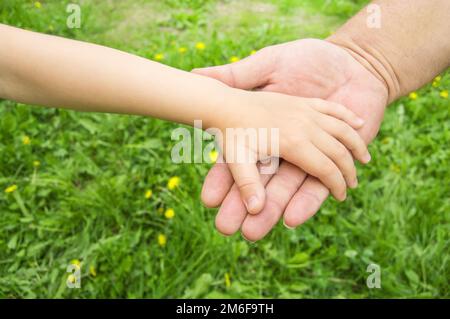 A small child's palm rests on a large man's palm, father's day, outdoor nature background, family concept trust Stock Photo