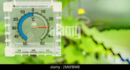 Analog hygrometer and thermometer - everything is in the green Stock Photo  - Alamy