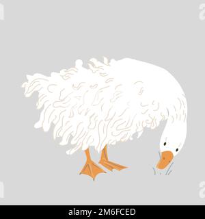 Cute Sebastopol goose. Cartoon vector illustration isolated on grey background Stock Vector