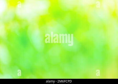 Glowing green nature background with sunburst. Abstract nature green background. Stock Photo