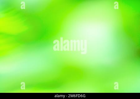 Green haze bokeh backdrop. Green olive color blurred motion out of focus background. Stock Photo