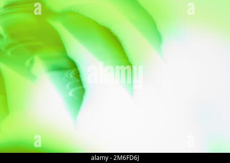 High speed motion blurred green nature. Abstract natural green motion blurred Stock Photo