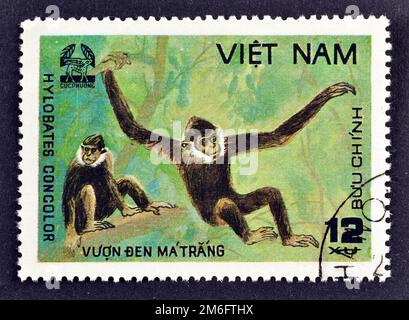 Cancelled postage stamp printed by Vietnam, that shows Black Crested Gibbon, Nomascus concolor, Cuc Phuona Nati Forest, circa 1981. Stock Photo