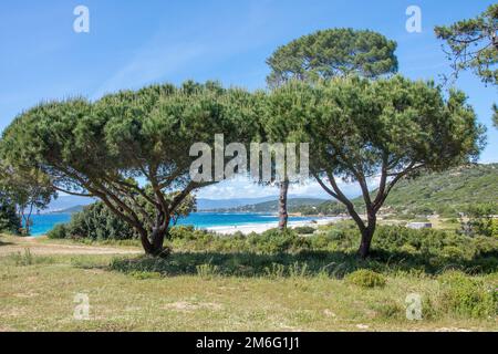 Discovery of the island of beauty in southern Corsica, France Stock Photo