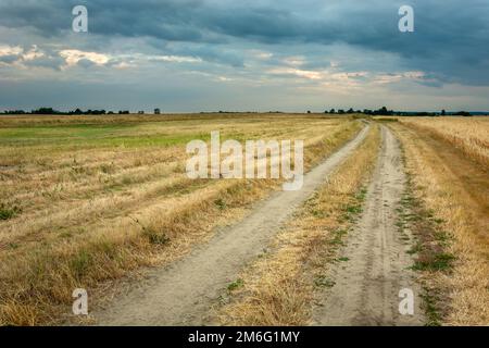 Dirt road through fields and cloudy sky Stock Photo