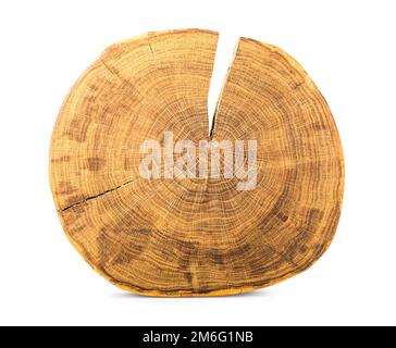 Round slice of log Stock Photo