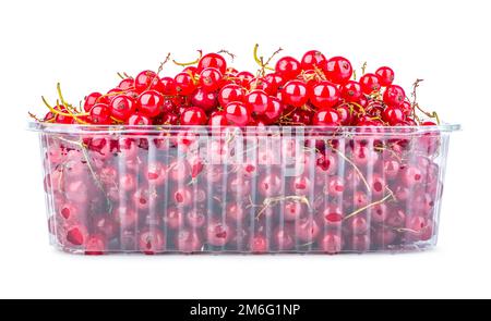 Red currant in container Stock Photo