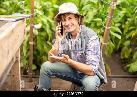 Cheerful agriculturist talking on the smartphone in the greenhouse Stock Photo