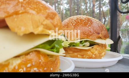 Close-up of two large DIY hamburgers in the park on a barbecue, rest and cooking on a picnic in the summer, food, delicious, bri Stock Photo