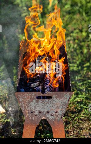 The firewood in the grill burns with a bright orange flame of fire Stock Photo