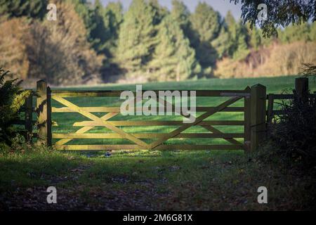 Closed wooden farm gate at the entrance to a field. UK. Stock Photo