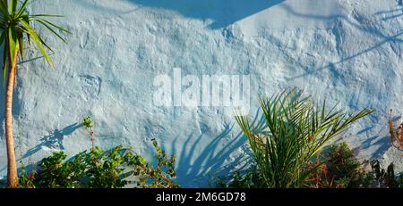 Blue Wall Concrete Cement Wall Texture Plastering Pattern Background and Plants Wide Banner Stock Photo