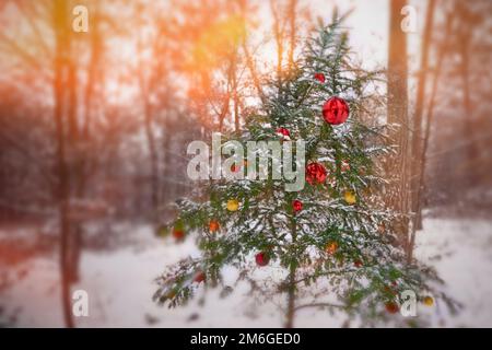 lovely decorated Christmas tree in its natural environment Stock Photo
