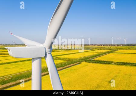 Wind turbine closeup in autumn paddy field Stock Photo