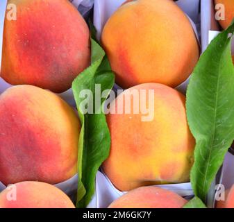 Fresh and ripe peaches are sold at the Bazaar Stock Photo - Alamy
