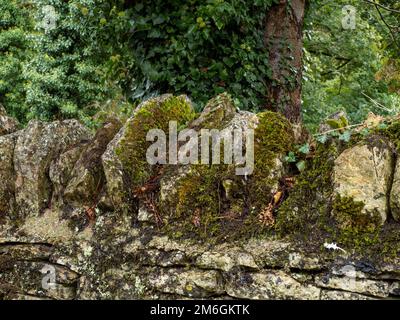 Cotswold Stone Wall Stock Photo