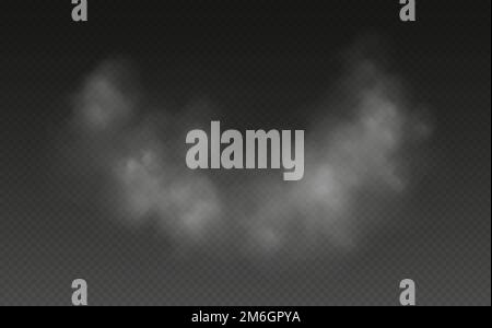 Fog or smoke isolated on transparent background. Realistic smog, haze, mist or cloudiness effect. Stock Vector