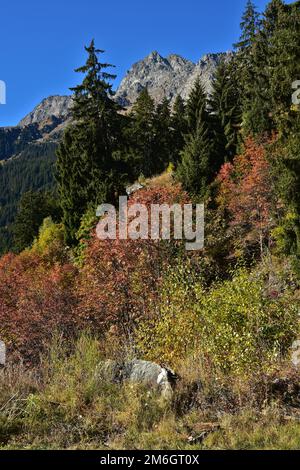 Texel Group Nature Park in South Tyrol, Italy, view to the Tschigat Stock Photo