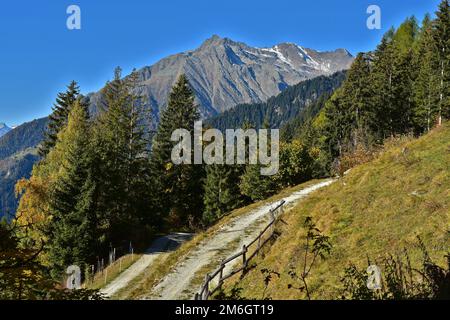 Autumn in South Tyrol, view to the Texel group near Meran, Italy Stock Photo