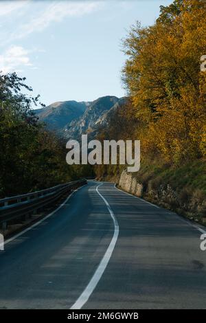 Empty roadway between autumn trees leading to mountains Stock Photo
