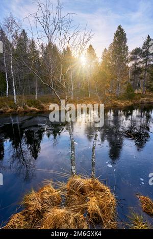 High moor landscape in the Allgaeu mountains, near Oberstaufen, Bavaria, Germany Stock Photo