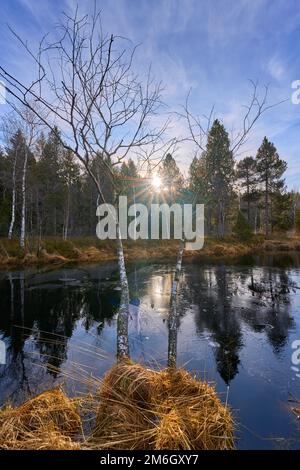 High moor landscape in the Allgaeu mountains, near Oberstaufen, Bavaria, Germany Stock Photo