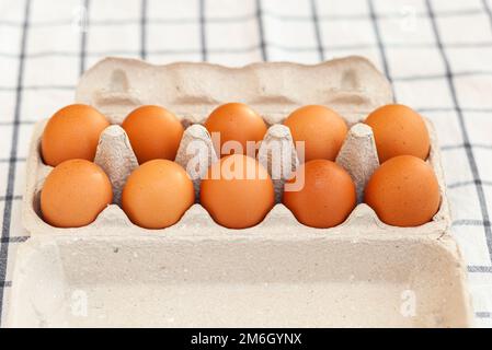 A few brown eggs among the empty cells of a large cardboard bag Stock Photo