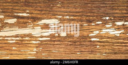 Old wood texture background, perfect natural pattern. Stock Photo