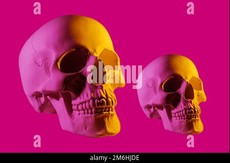 Pink yellow gypsum human skull isolated on purple background. Plaster sample model skull for students of art schools. Forensic s Stock Photo