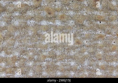 Swedish rye flatbread for background use Stock Photo