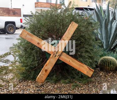 Discarded Christmas trees pile up on the sidewalk in Los Angeles, CA. Stock Photo