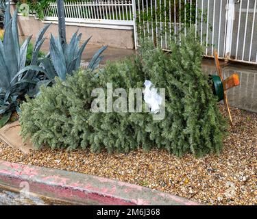 Discarded Christmas trees pile up on the sidewalk in Los Angeles, CA. Stock Photo