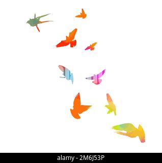 Abstract colored flying birds. Mixed media. Vector illustration Stock Vector