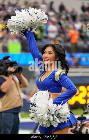 Inglewood, United States. 02nd Dec, 2022. Seattle Seahawks safety Teez Tabor  (39) celebrates against the Los Angeles Rams during a NFL football game,  Sunday, Dec. 4, 2022, in Inglewood, Calif at Sofi