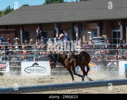 A bronc riding cowboy competing at The Ram Rodeo in New Liskeard, Ontario. Stock Photo