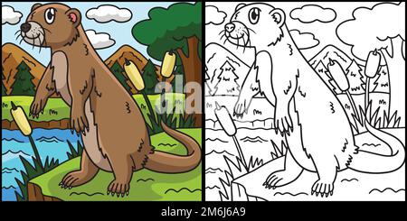 River Otter Coloring Page Colored Illustration Stock Vector