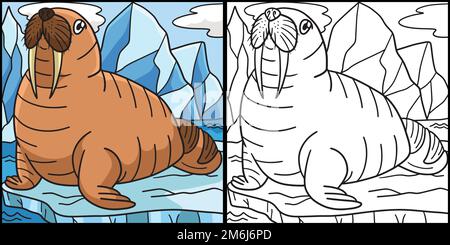 Walrus Coloring Page Colored Illustration Stock Vector