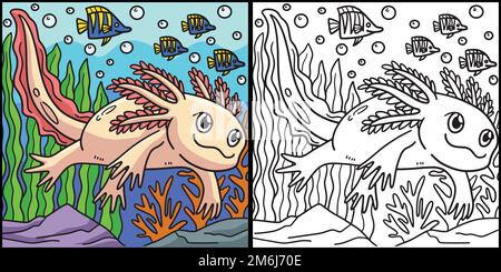 Axolotl Coloring Page Colored Illustration Stock Vector