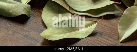 Dry bay leaves panorama on a dark rustic wooden background Stock Photo