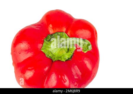 Paprika. Pepper isolated on white and gray background. Red pepper With trajectory clipping. Close-up macro photo Stock Photo