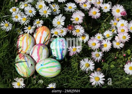 Hand painted easter eggs among daisies on a meadow Stock Photo