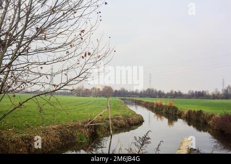 Stream  of water in the countryside on a cloudy day framed by trees Stock Photo