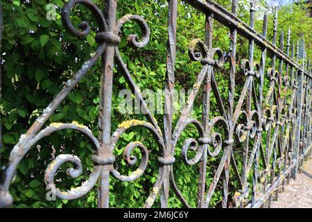 Lichen and rust on an old wrought iron garden fence Stock Photo