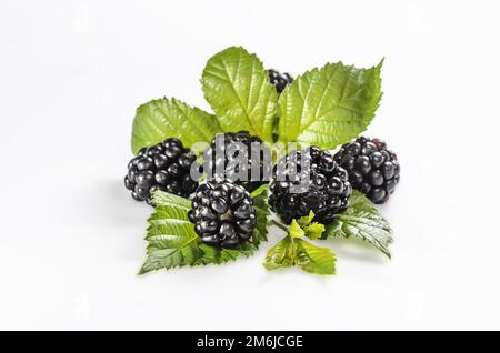 Ripe blackberries with leaves on a white background with soft shadow Stock Photo