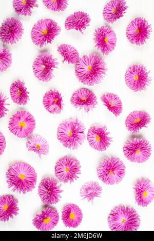 Beautiful pink flowers on grey wooden background Stock Photo