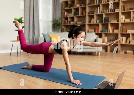 Modern sports, active lifestyle, training with online device. Slim asian lady in sportswear practicing yoga with laptop Stock Photo